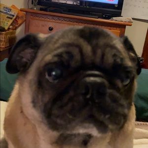 Meet your Posher, Mary